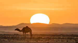 Atardecer en el desierto de Ennedi (Chad)