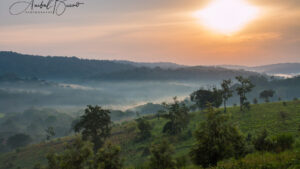 Amanecer bosque impenetrable bwindi