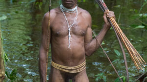 Korowai cazando