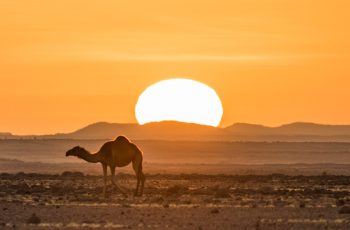 Atardecer en el desierto de Ennedi (Chad)